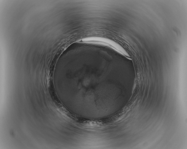 X0000115130223200911101653