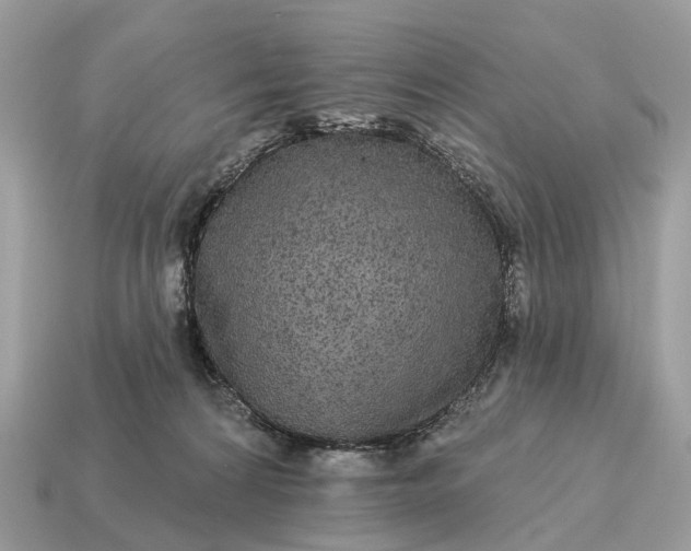 X0000115130224200911101653