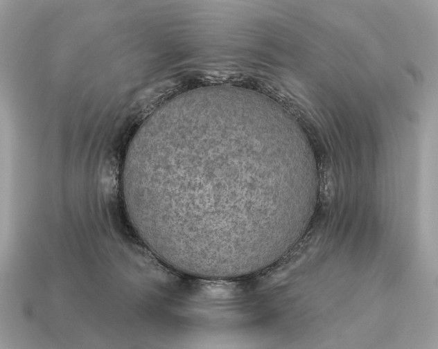 X0000115130226200911101653