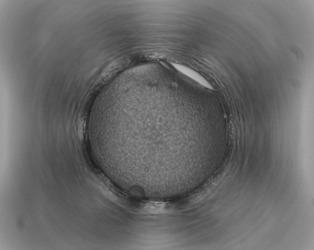 X0000115130227200911101653
