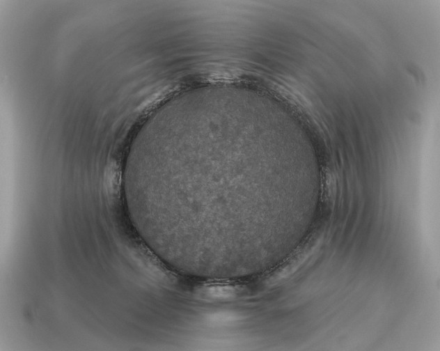 X0000115130228200911101653