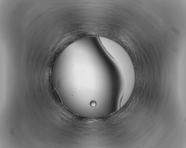 X0000115130229200911101653