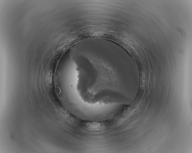 X0000115130230200911101653
