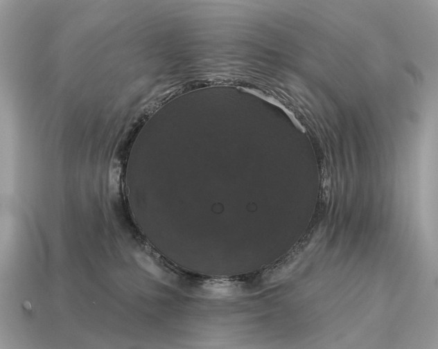 X0000115130231200911101653