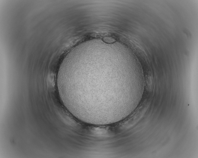 X0000115130232200911101653