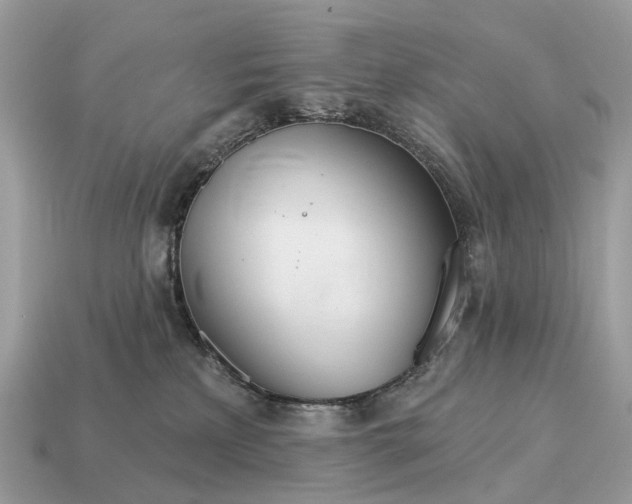 X0000115130233200911101653