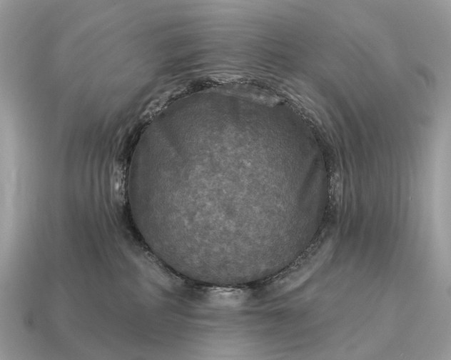 X0000115130234200911101653