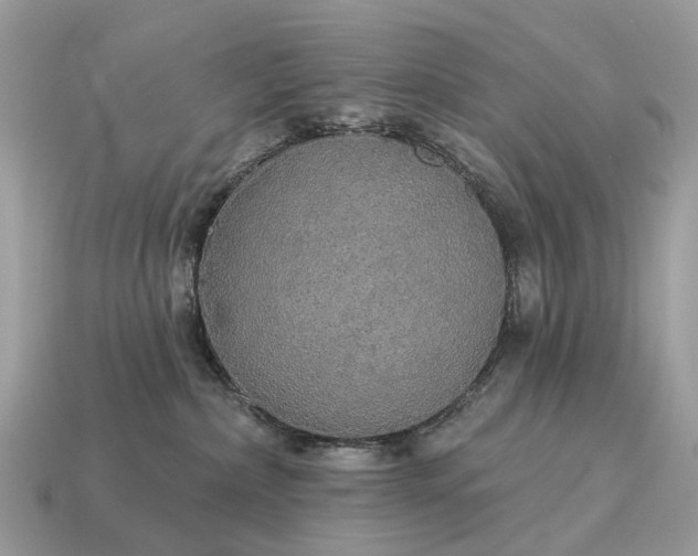 X0000115130236200911101653