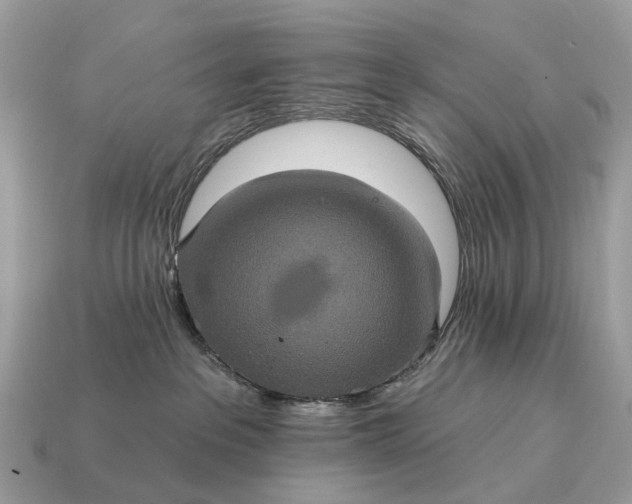 X0000115130237200911101653