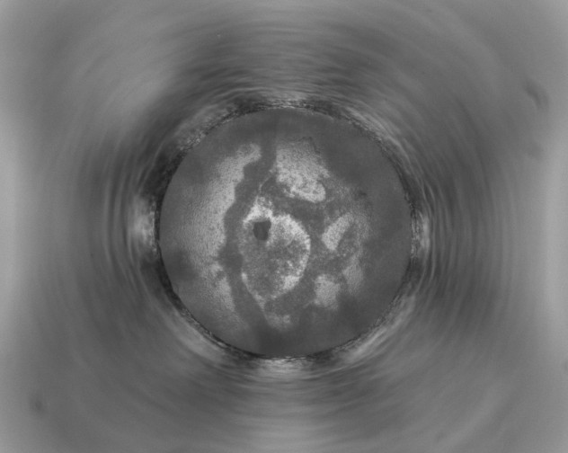 X0000115130238200911101653
