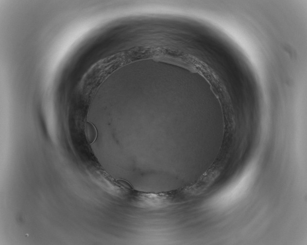 X0000115130239200911101653