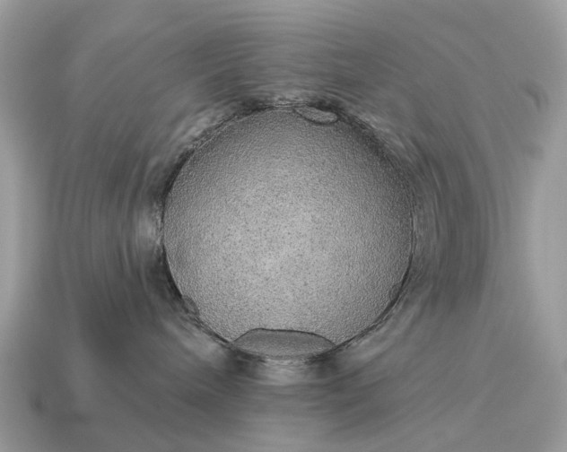 X0000115130240200911101653