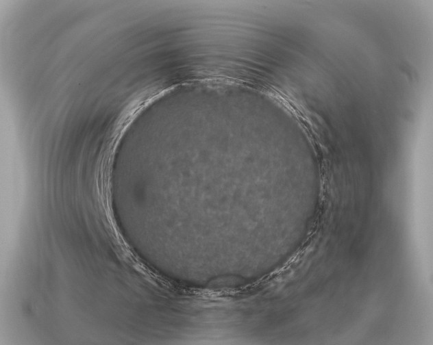 X0000115130241200911101652