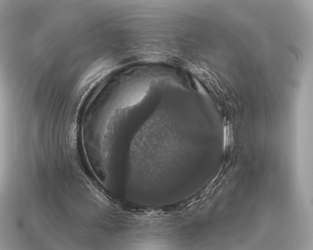 X0000115130243200911101652