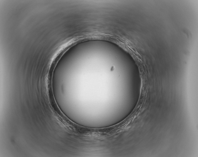 X0000115130244200911101652