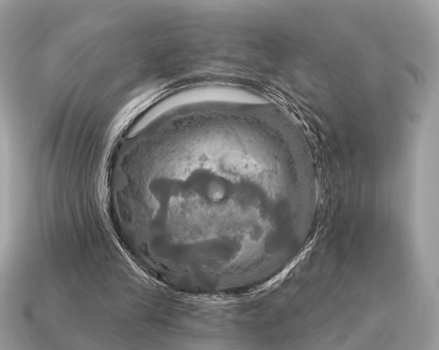 X0000115130245200911101652