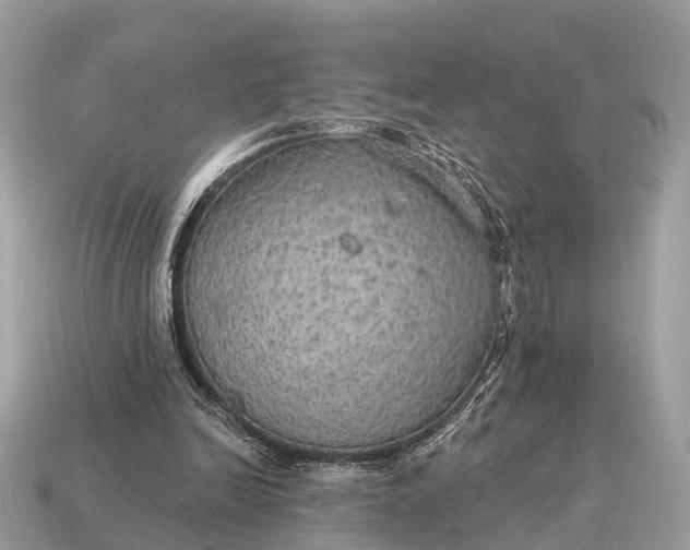 X0000115130246200911101652
