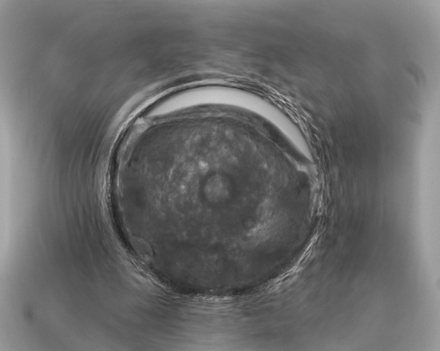X0000115130247200911101653
