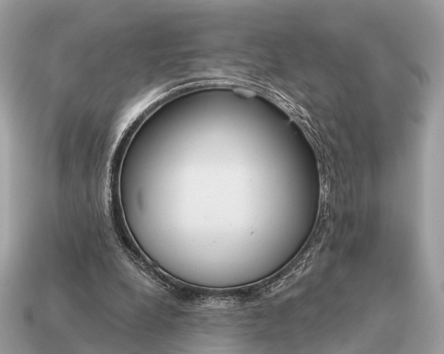 X0000115130248200911101653