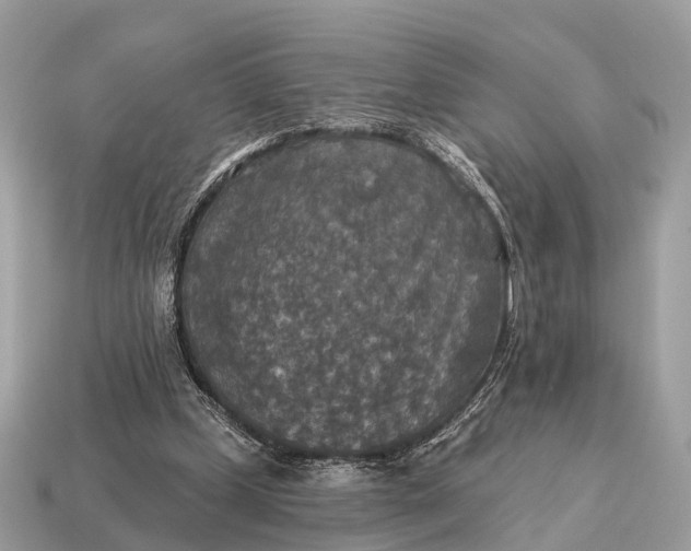X0000115130249200911101653