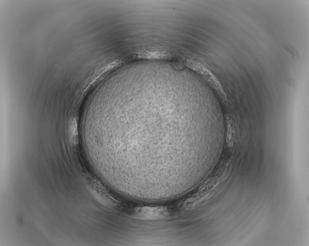 X0000115130251200911101653