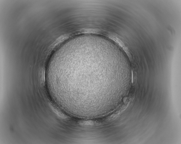 X0000115130253200911101653