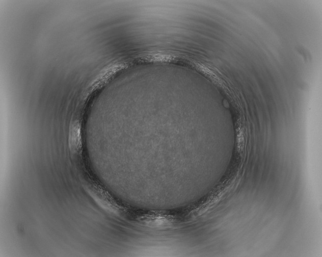 X0000115130254200911101653