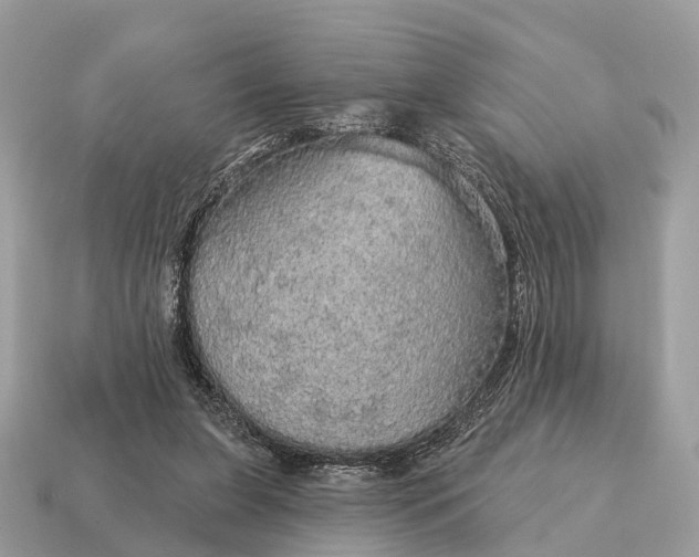 X0000115130255200911101653