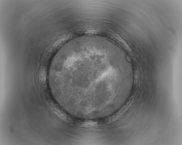X0000115130257200911101653
