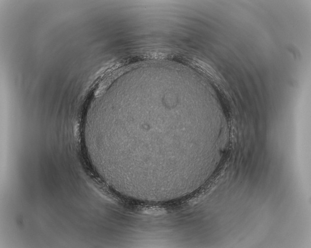X0000115130258200911101653