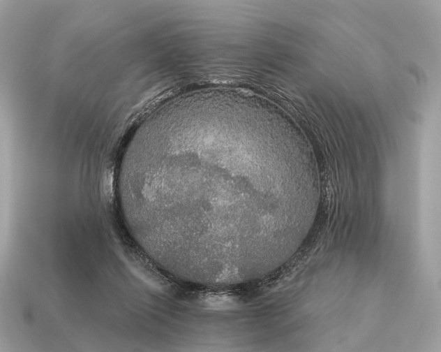 X0000115130262200911101653