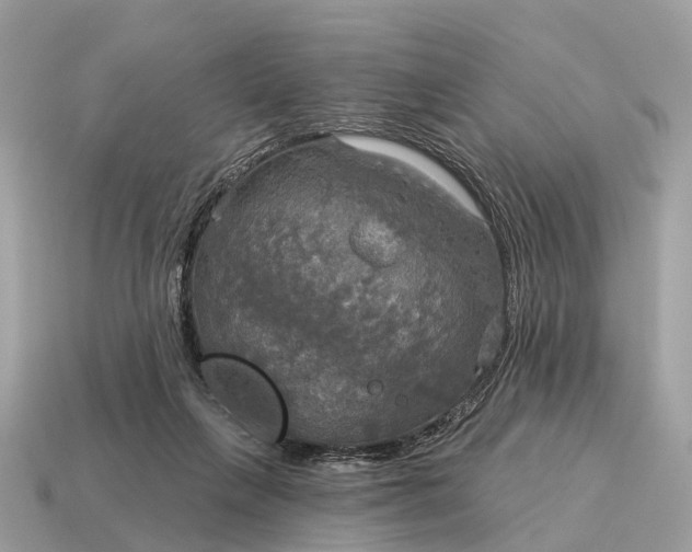 X0000115130263200911101653