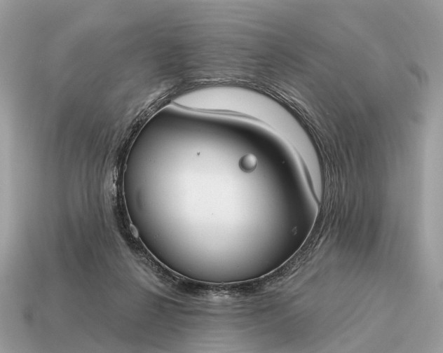 X0000115130264200911101653