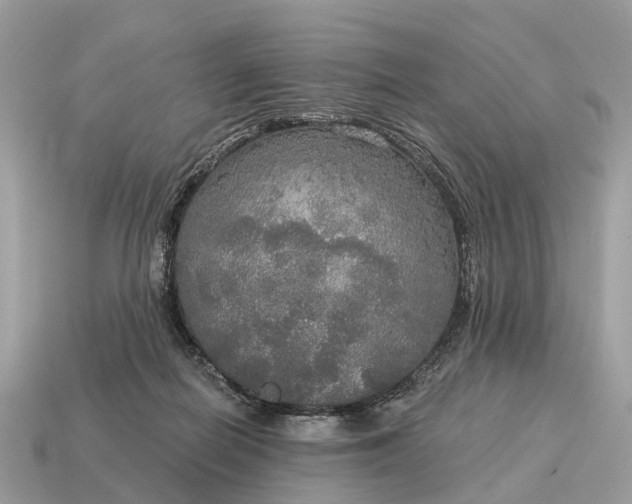 X0000115130266200911101653