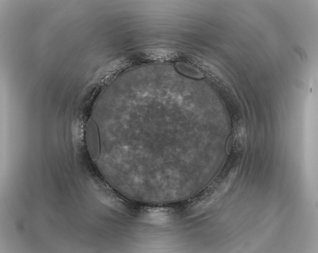 X0000115130268200911101653