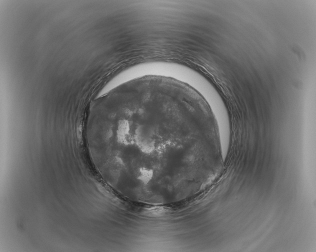 X0000115130269200911101653