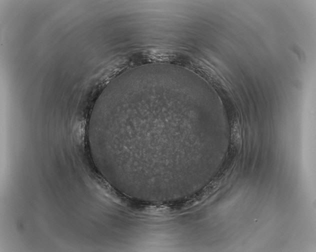X0000115130271200911101653