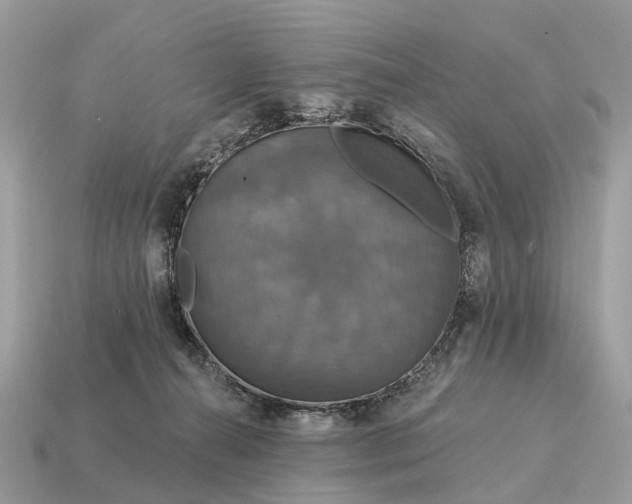 X0000115130272200911101653