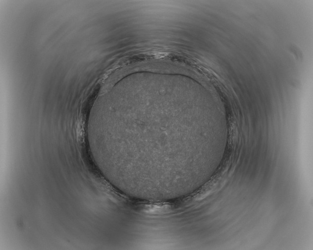 X0000115130274200911101653