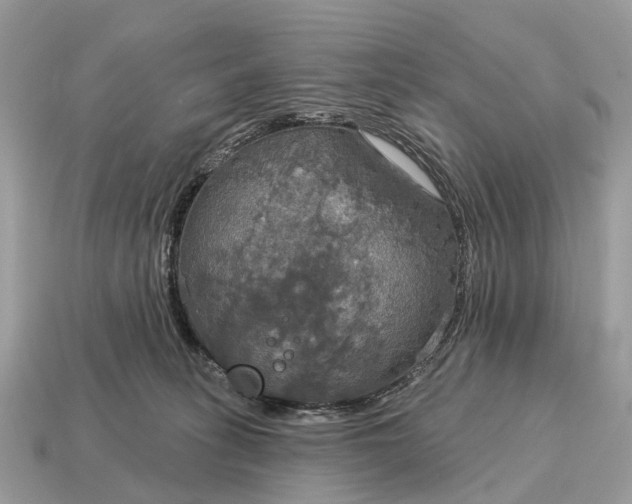X0000115130275200911101653