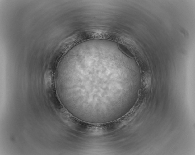 X0000115130276200911101653