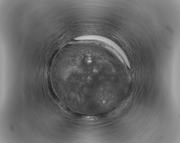 X0000115130277200911101653