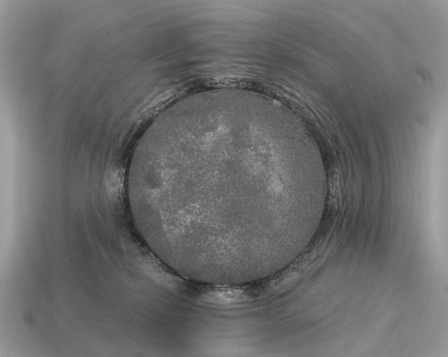 X0000115130278200911101653