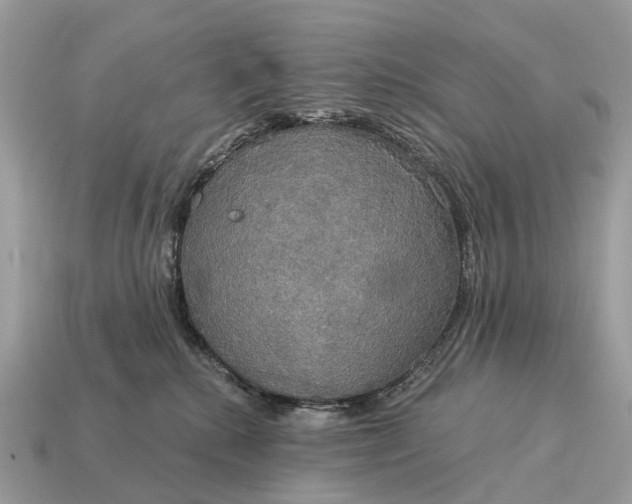 X0000115130280200911101653