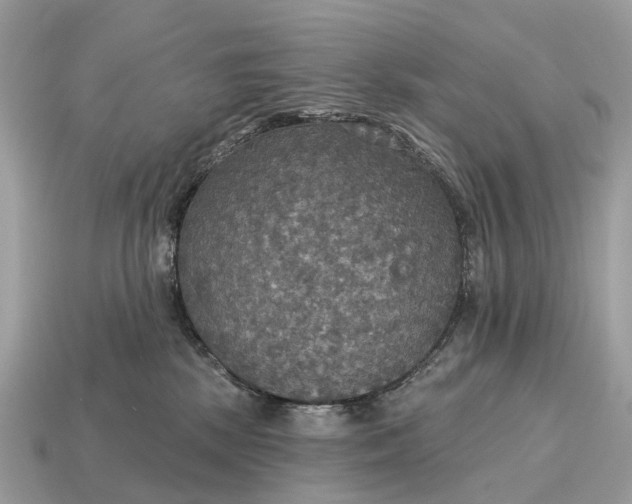 X0000115130281200911101653