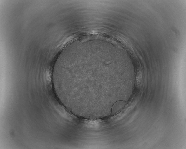 X0000115130282200911101653