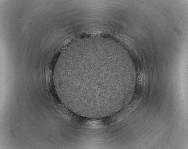 X0000115130283200911101653