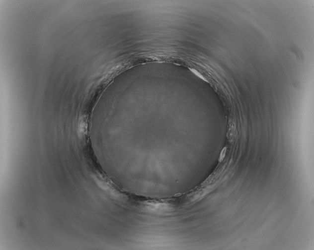 X0000115130284200911101653