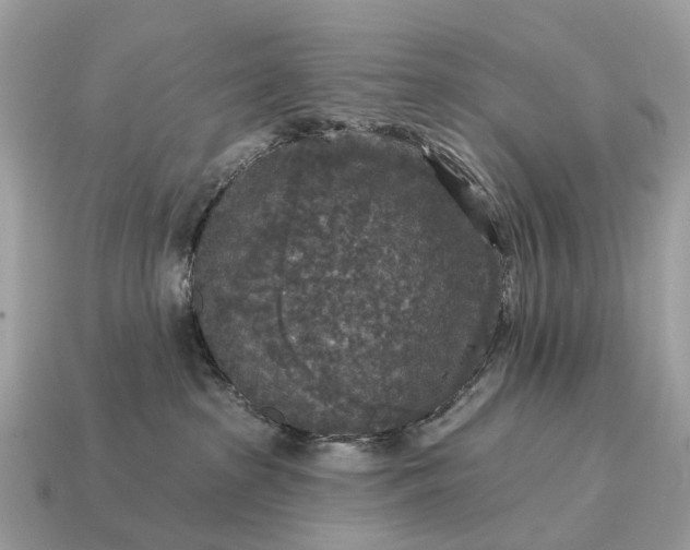 X0000115130285200911101653
