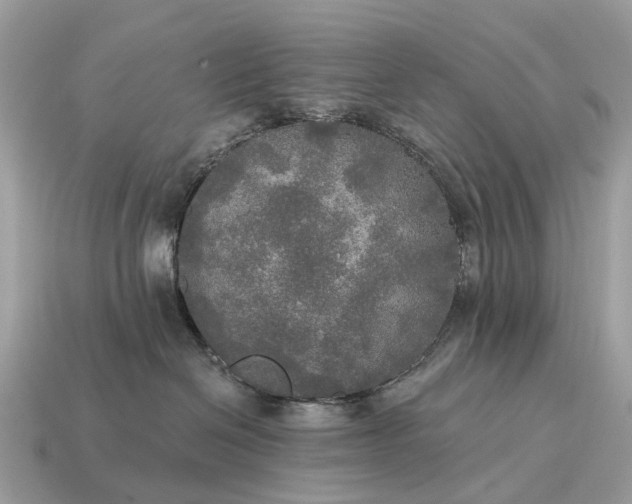 X0000115130286200911101653